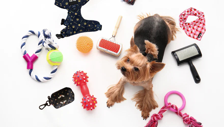 Pet Accessories