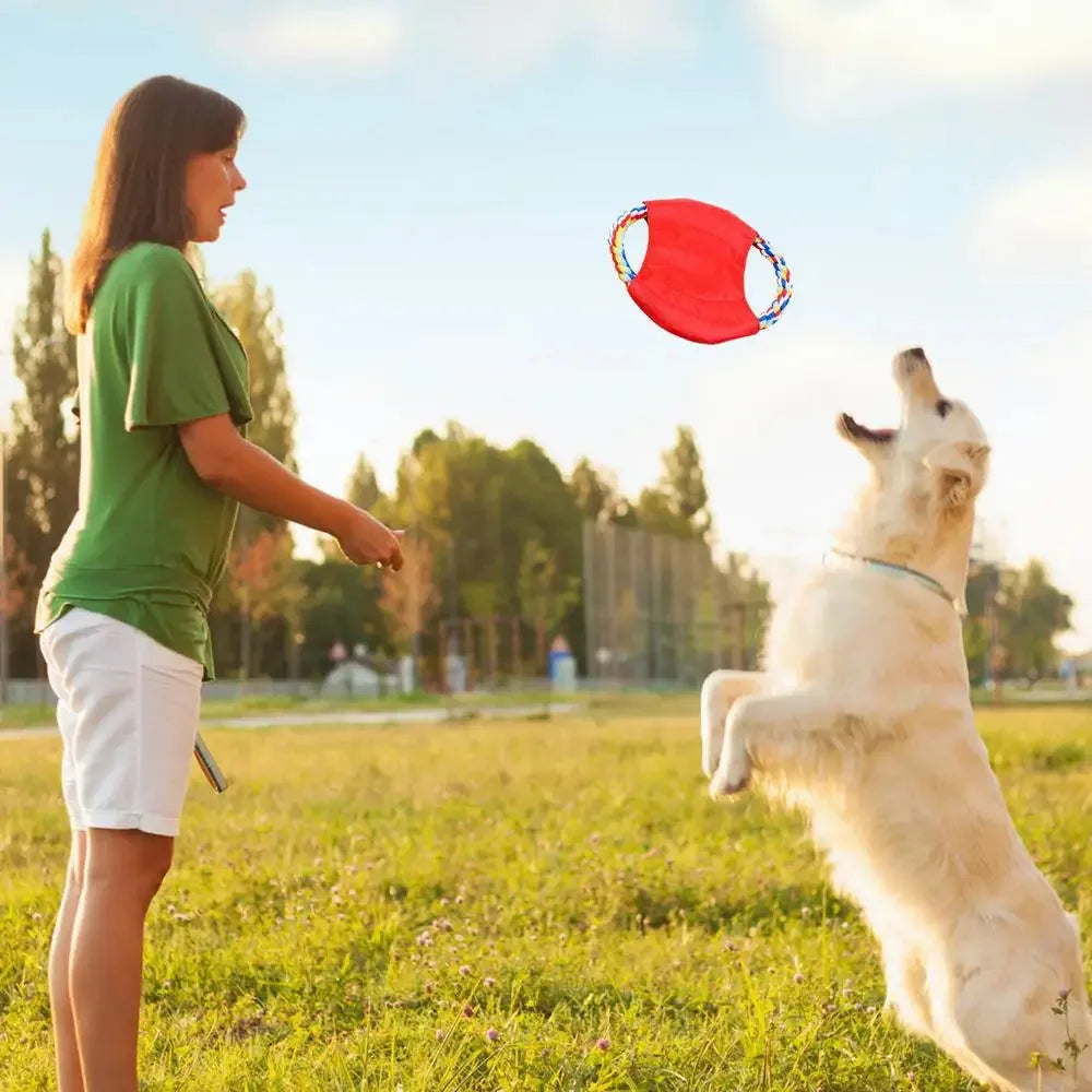 Bite-Resistant Dogs Toy Flying Disc Chew Puppy Training Interactive