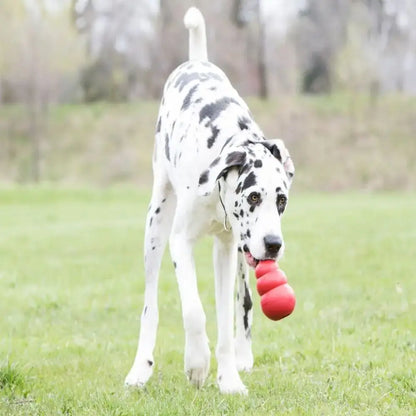 New Classic Kong Dog Toys Erratic Bounce Stuffable Chew Toy Durable