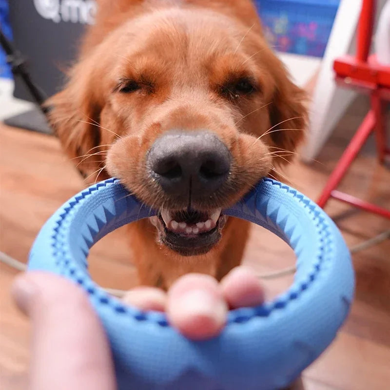 Dog Ring Toys Durable Chewing Flying Floating Training Tools Fetch