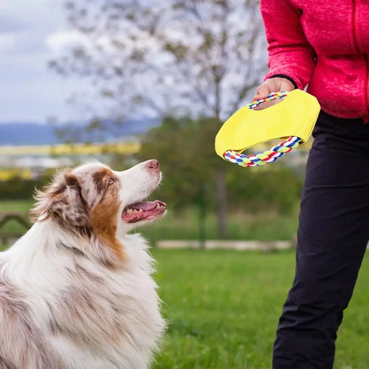 Bite-Resistant Dogs Toy Flying Disc Chew Puppy Training Interactive