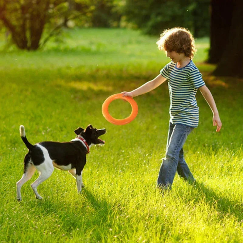 Dog Toys For Large Dogs Engaging Fetch Rings Sturdy Discs Outdoor